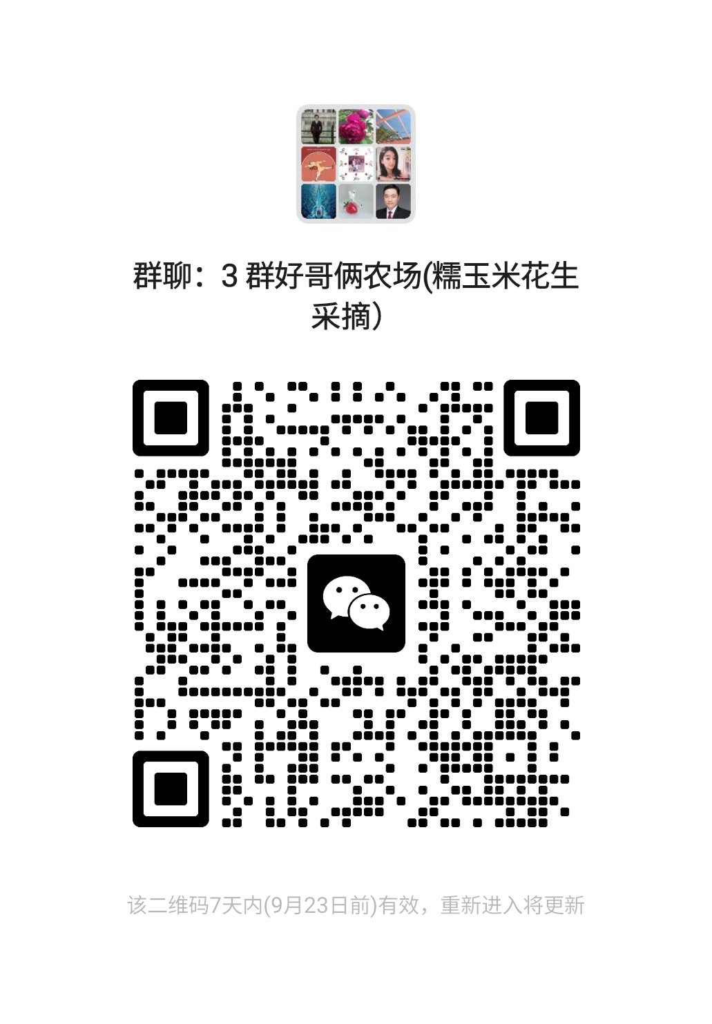 微信群二维码